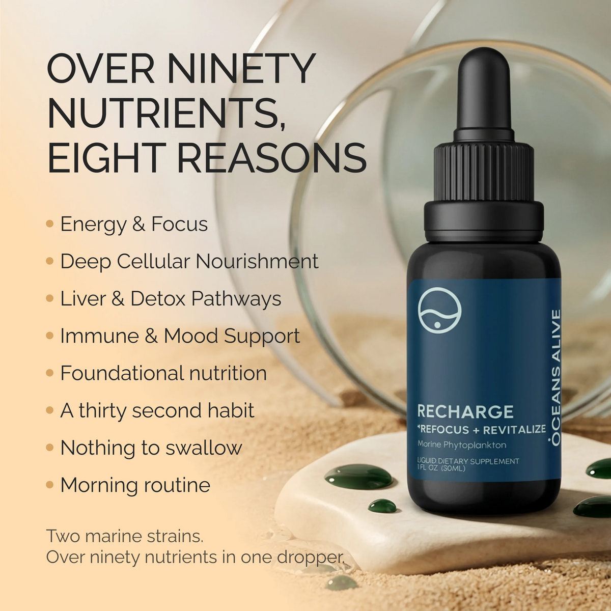 Oceans Alive® RECHARGE - formerly Raw Phytoplankton 🇺🇸