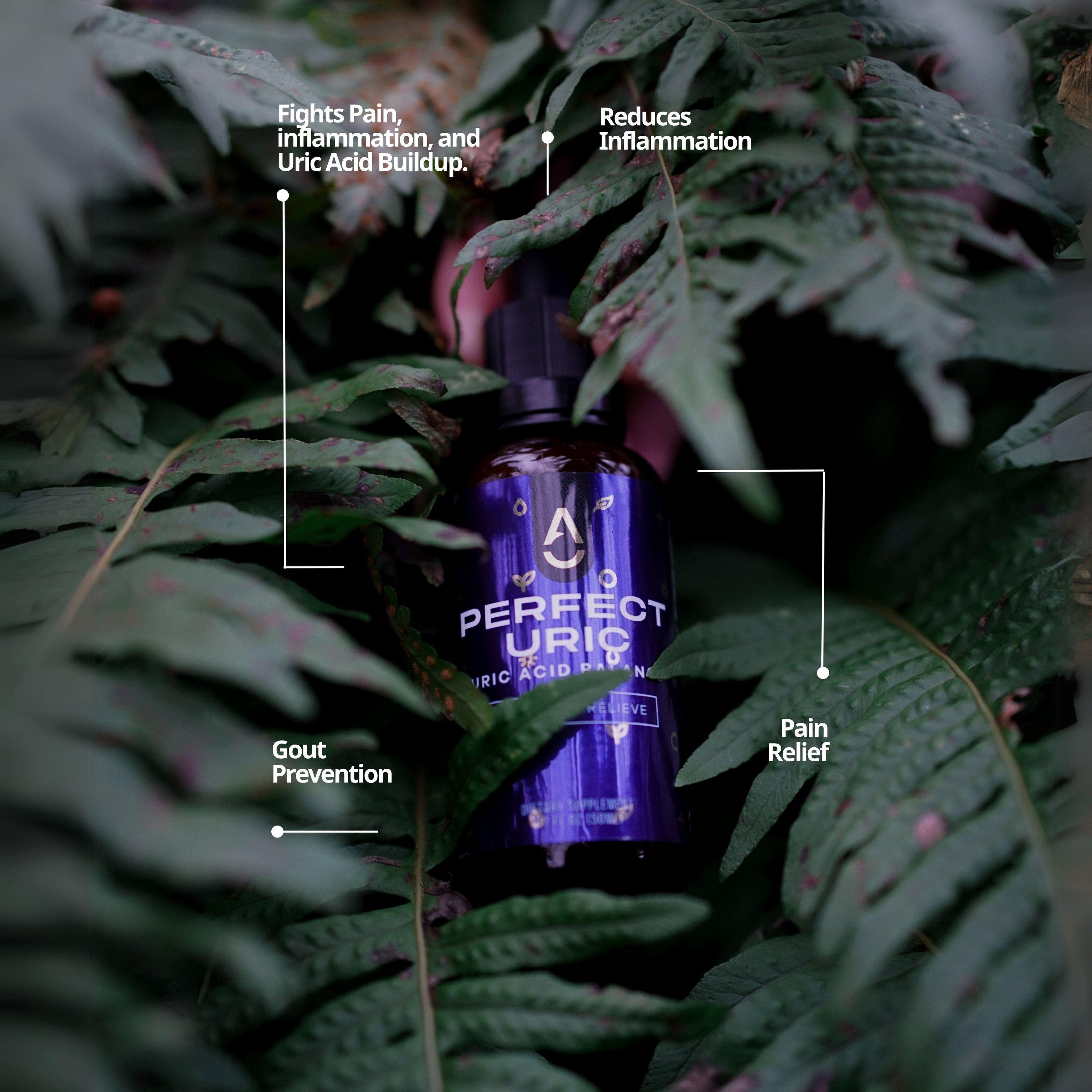 Perfect Uric 🇺🇸