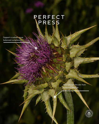 Milk Thistle Oil, Perfect Press 🇺🇸