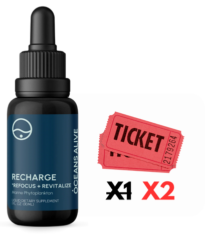 Oceans Alive® Recharge 2024 Holiday 1x