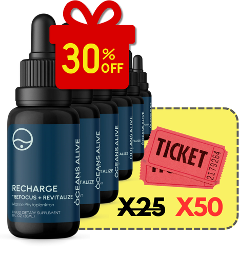 Oceans Alive® Recharge 2024 Holiday 6x