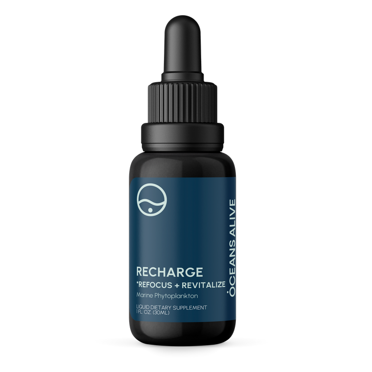 Oceans Alive® RECHARGE - formerly Raw Phytoplankton 🇺🇸