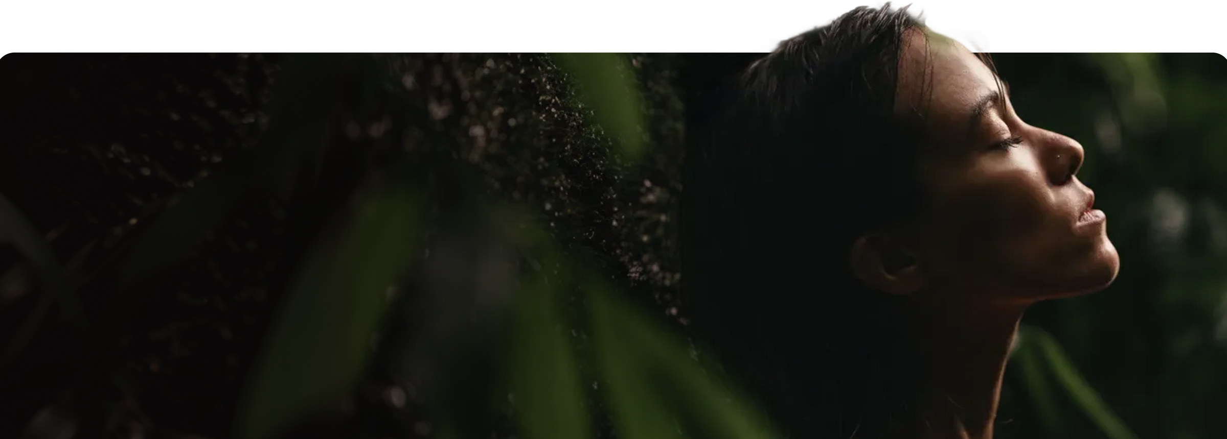 Banner background