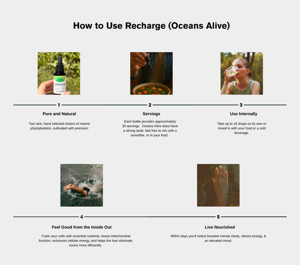 Oceans Alive® Recharge