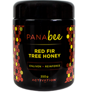 Panabee Red Fir Tree Honey